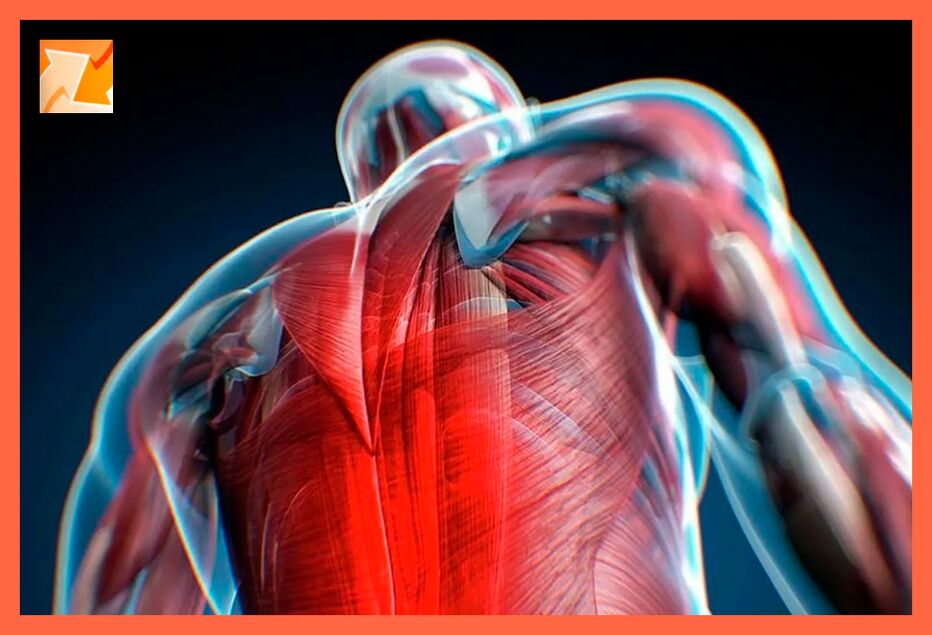 Merkmale des Unbehagens